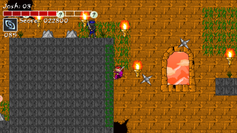 Ninja Force screenshot 4